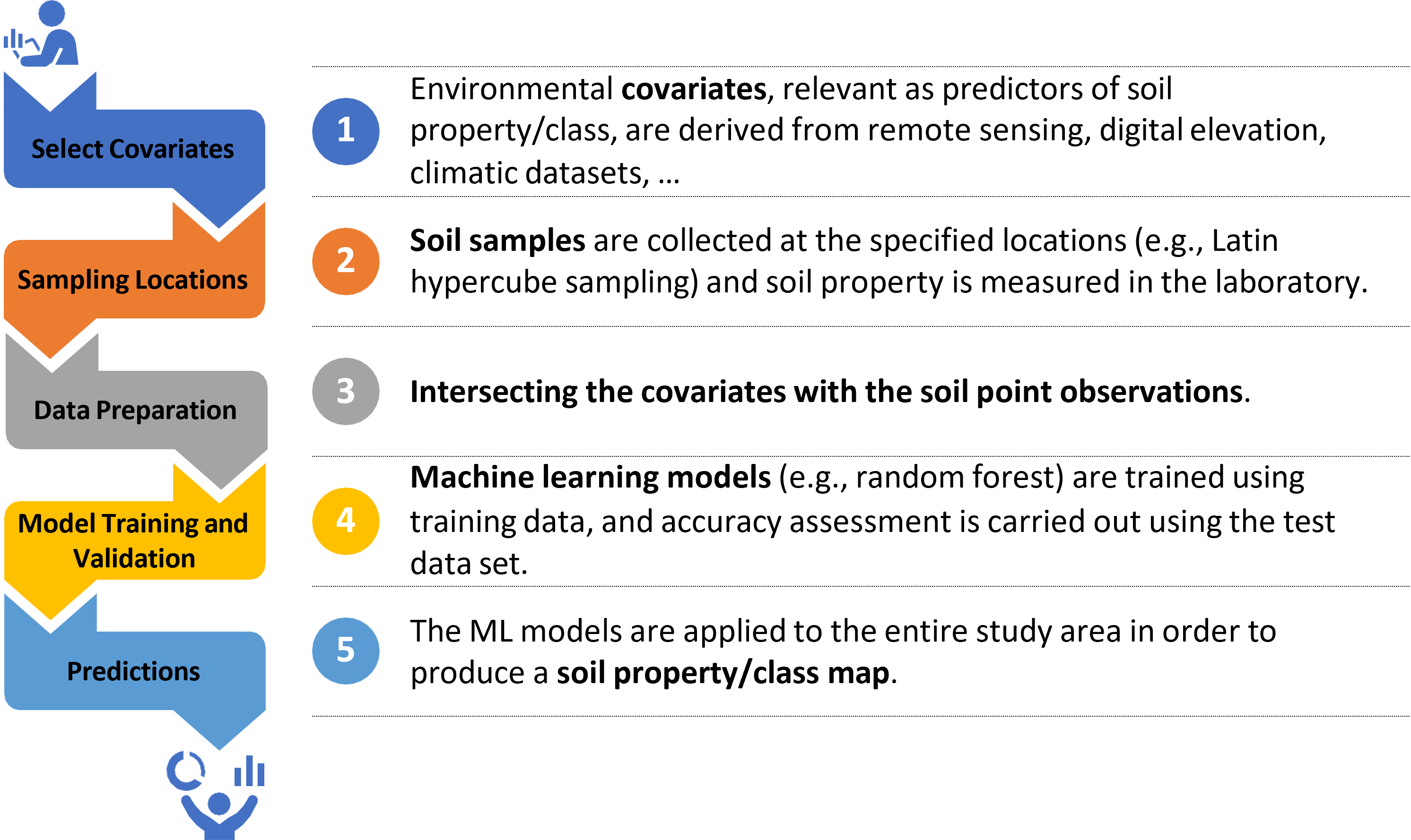 Digital soil mapping steps.