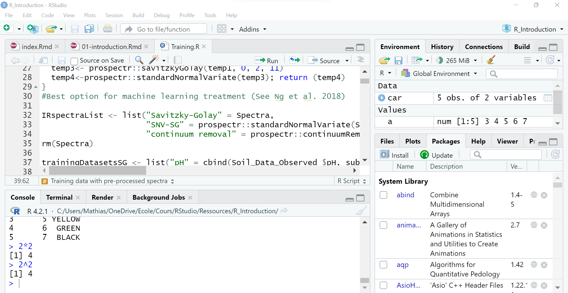 RStudio IDE view.