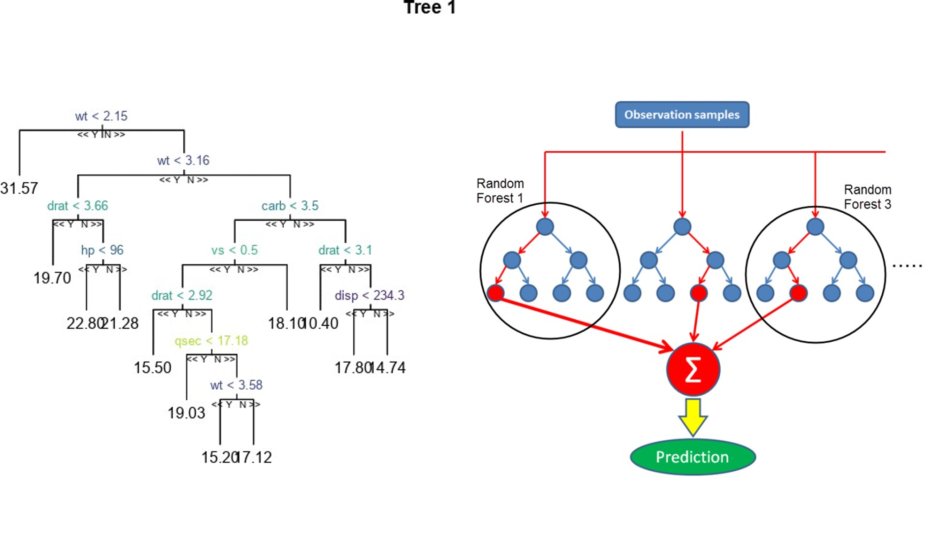 Random forest detailed schema.